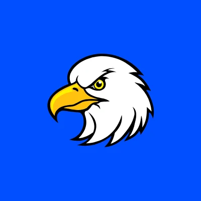 FlySMMPanel logo