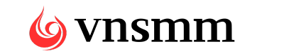 VNSMM logo